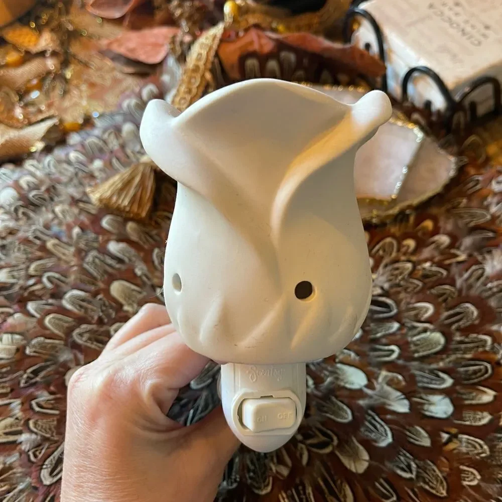 Scentsy pair good considered
